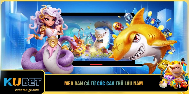 Mẹo săn cá từ các cao thủ lâu năm
